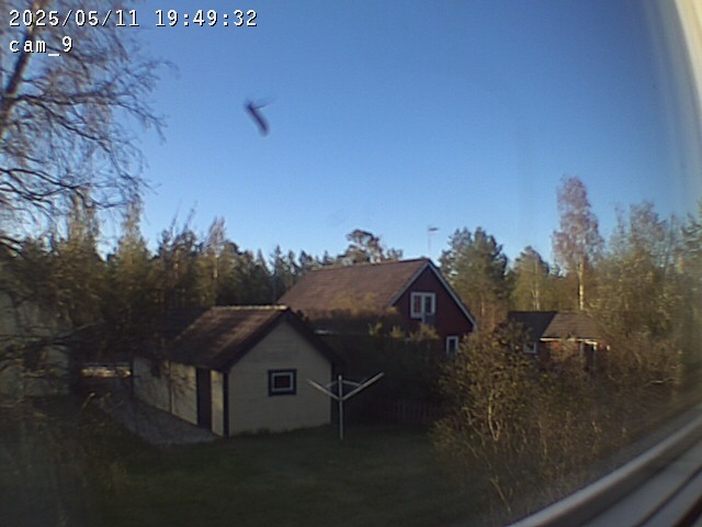 cam_9