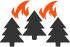 forest_fire
