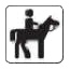 horse